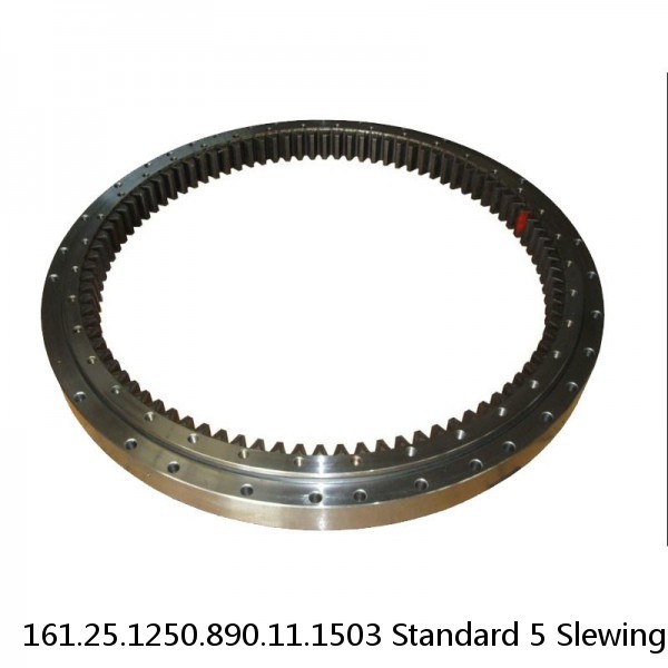 161.25.1250.890.11.1503 Standard 5 Slewing Ring Bearings