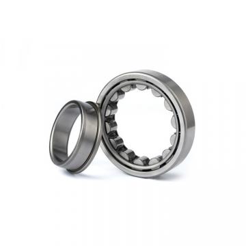 160 mm x 240 mm x 38 mm  FAG NU1032-M1  Cylindrical Roller Bearings