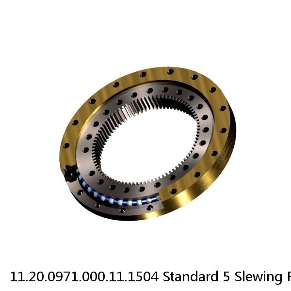 11.20.0971.000.11.1504 Standard 5 Slewing Ring Bearings