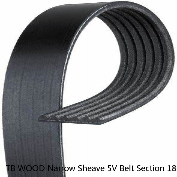 TB WOOD Narrow Sheave 5V Belt Section 18.7 O.D. in 4 Grooves  5v1874