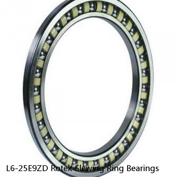 L6-25E9ZD Rotek Slewing Ring Bearings