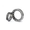 0.984 Inch | 25 Millimeter x 2.441 Inch | 62 Millimeter x 0.669 Inch | 17 Millimeter  NSK NUP305W  Cylindrical Roller Bearings