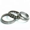 0.984 Inch | 25 Millimeter x 2.441 Inch | 62 Millimeter x 0.669 Inch | 17 Millimeter  NSK NUP305W  Cylindrical Roller Bearings #2 small image