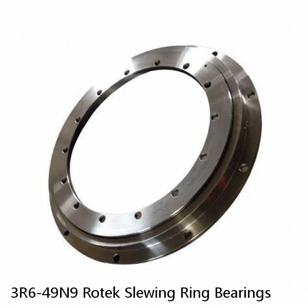 3R6-49N9 Rotek Slewing Ring Bearings #1 small image