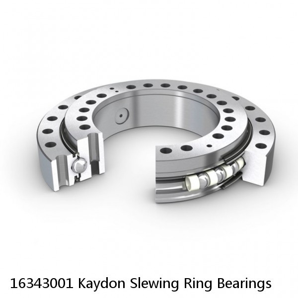 16343001 Kaydon Slewing Ring Bearings #1 small image
