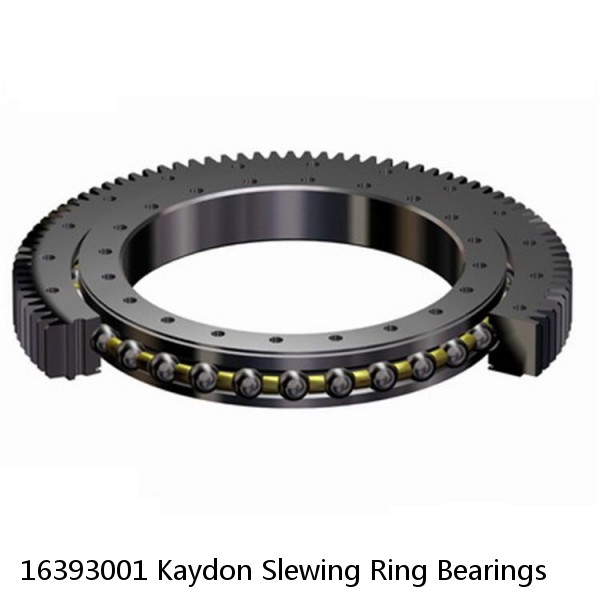 16393001 Kaydon Slewing Ring Bearings #1 small image
