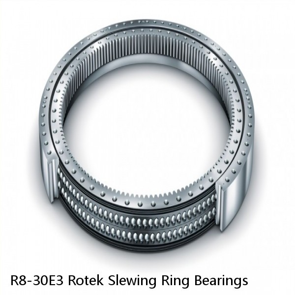 R8-30E3 Rotek Slewing Ring Bearings #1 small image