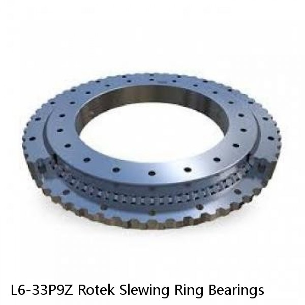 L6-33P9Z Rotek Slewing Ring Bearings #1 small image