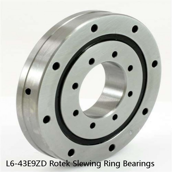 L6-43E9ZD Rotek Slewing Ring Bearings #1 small image