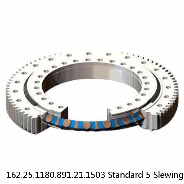 162.25.1180.891.21.1503 Standard 5 Slewing Ring Bearings
