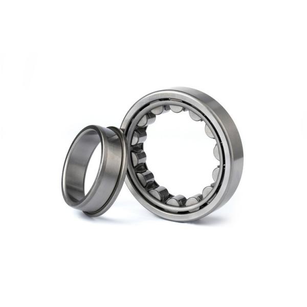 0.984 Inch | 25 Millimeter x 2.441 Inch | 62 Millimeter x 0.669 Inch | 17 Millimeter  NSK NUP305W  Cylindrical Roller Bearings #1 image