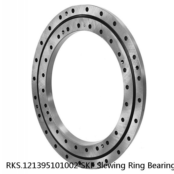 RKS.121395101002 SKF Slewing Ring Bearings #1 image