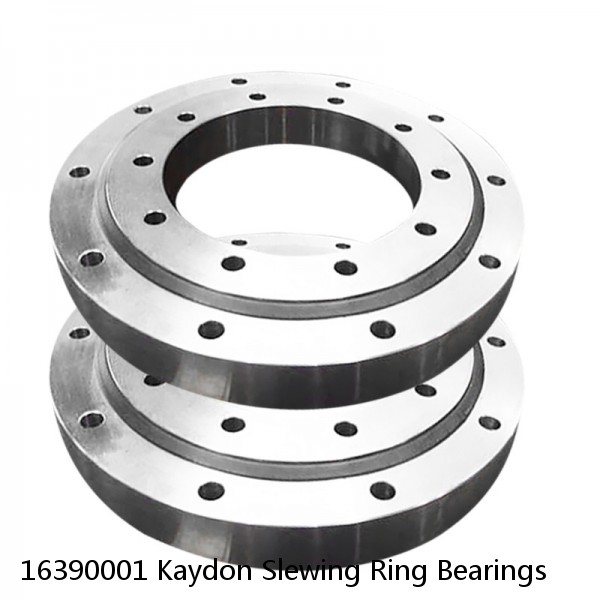 16390001 Kaydon Slewing Ring Bearings #1 image