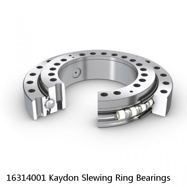 16314001 Kaydon Slewing Ring Bearings #1 image