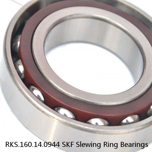 RKS.160.14.0944 SKF Slewing Ring Bearings #1 image