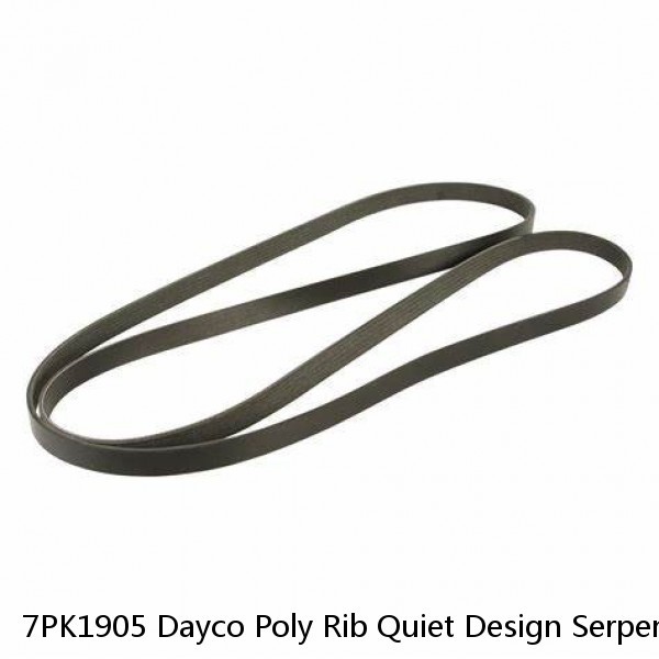 7PK1905 Dayco Poly Rib Quiet Design Serpentine Belt Free Shipping Free Returns #1 image