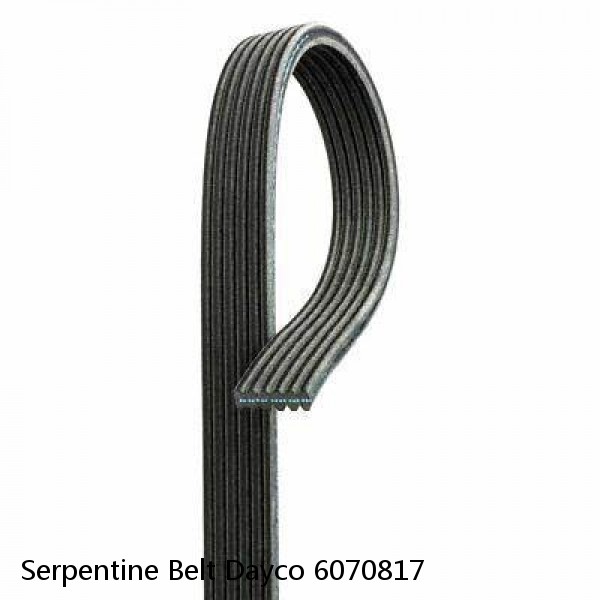 Serpentine Belt Dayco 6070817 #1 image