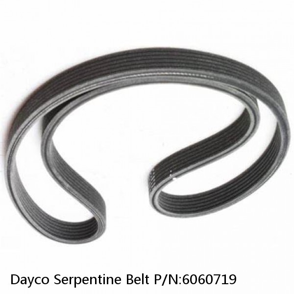 Dayco Serpentine Belt P/N:6060719 #1 image