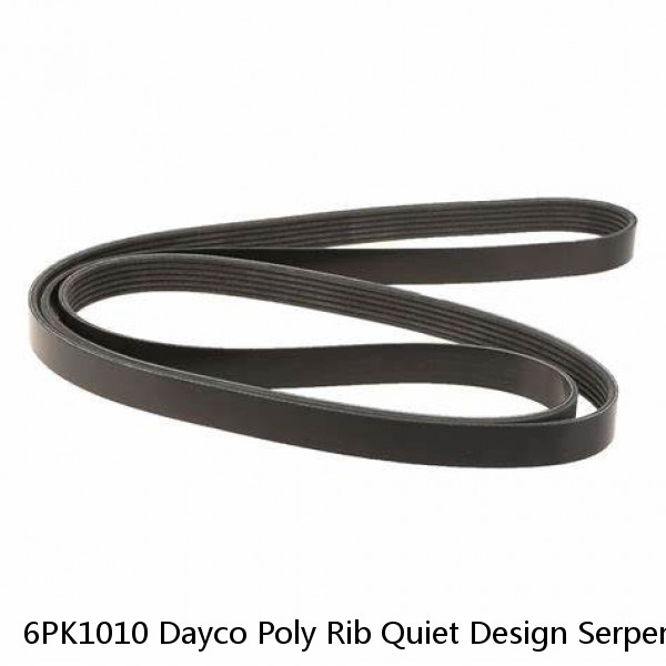 6PK1010 Dayco Poly Rib Quiet Design Serpentine Belt Free Shipping Free Returns #1 image