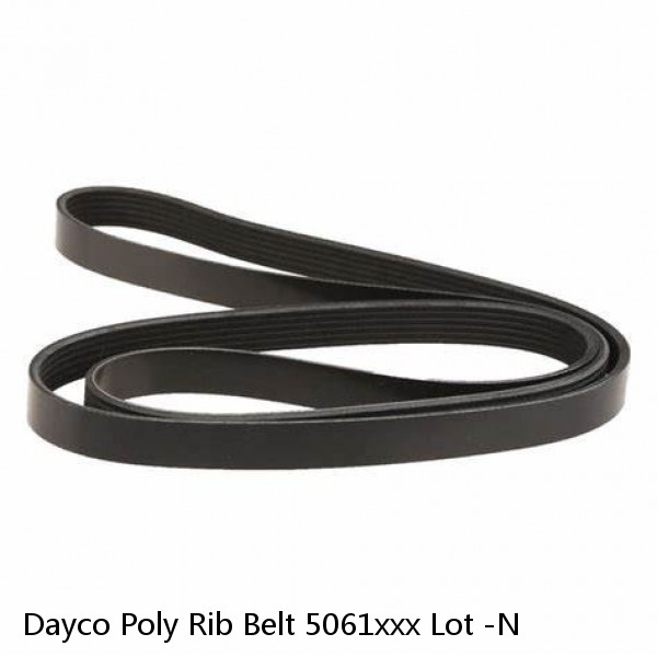 Dayco Poly Rib Belt 5061xxx Lot -N #1 image